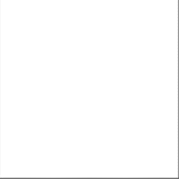 White Texture Image